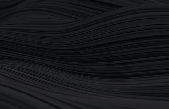 로톨랜드 카지노 지원